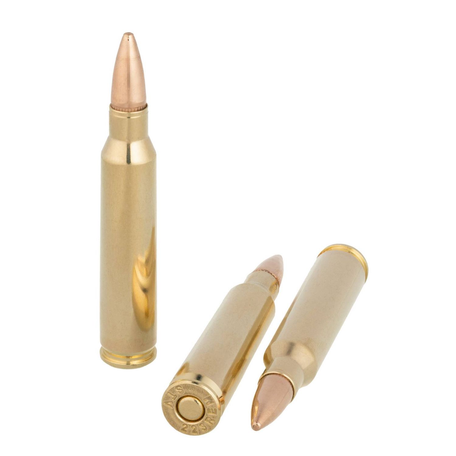 SVT .223 55gr FMJ