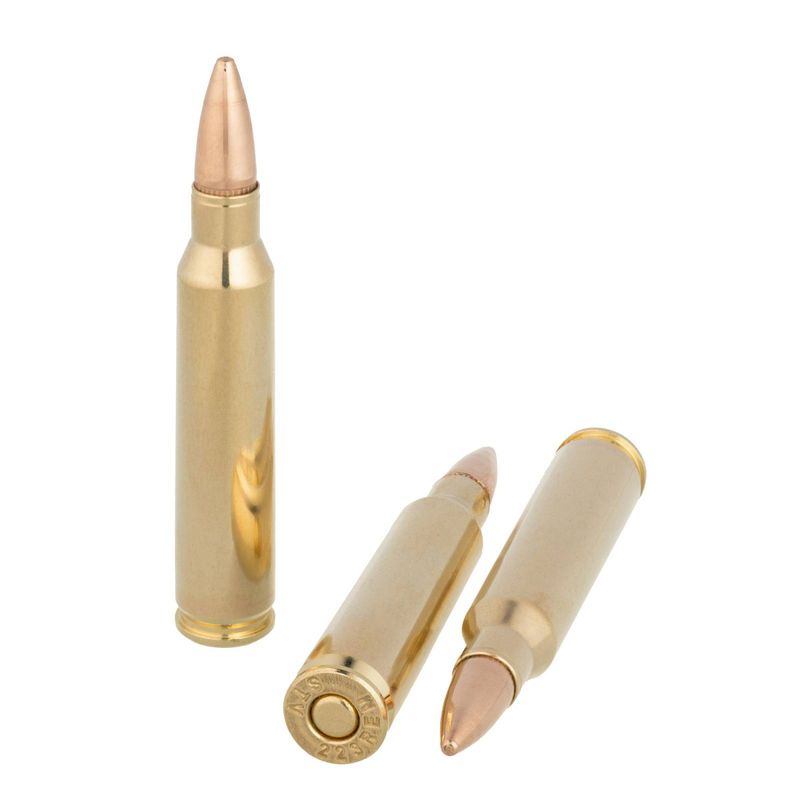 SVT .223 55gr FMJ