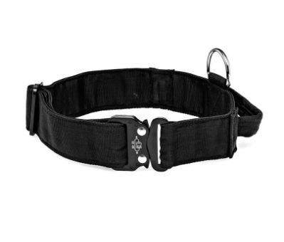 Canine 50mm Web Collar with Handle: Small