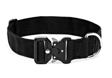 Canine 38mm Web Collar  Metal QR: Small