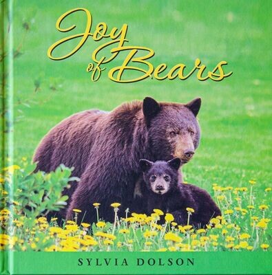 Joy of Bears Joy of Bears