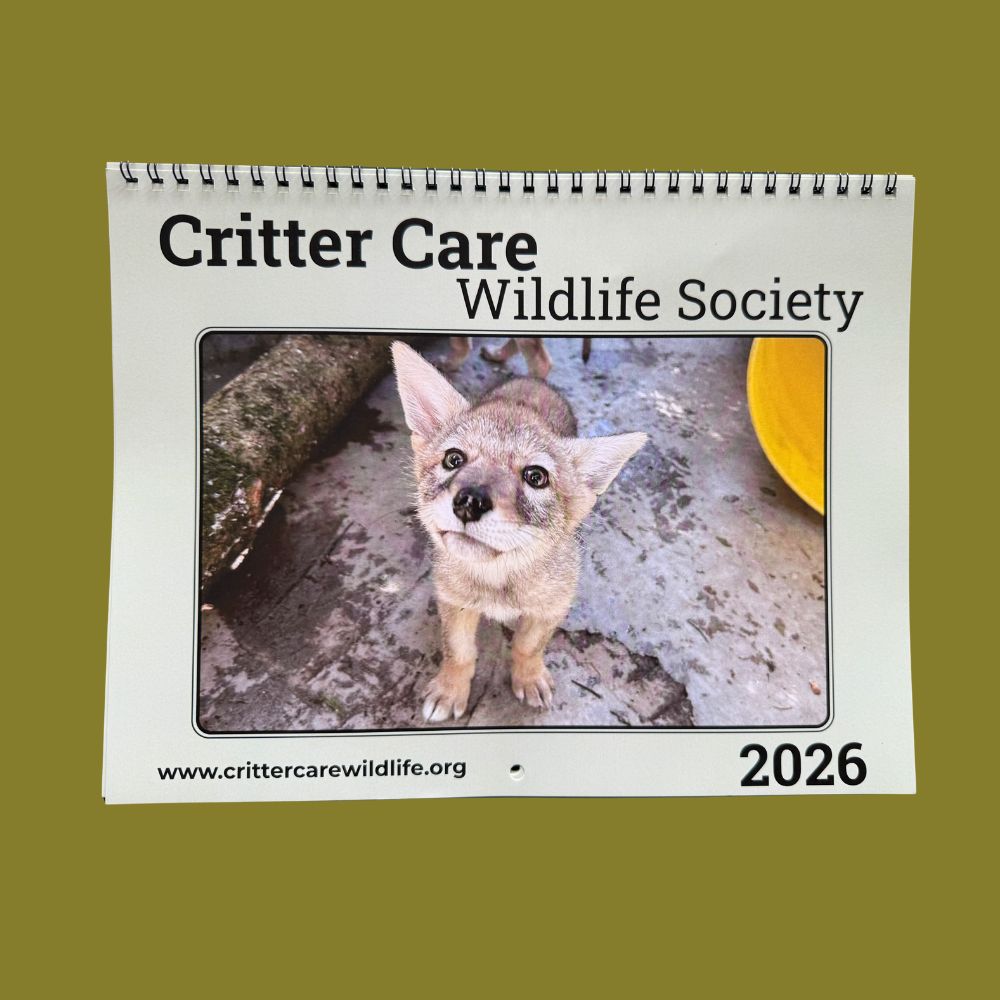 2026 Critter Care Calendar