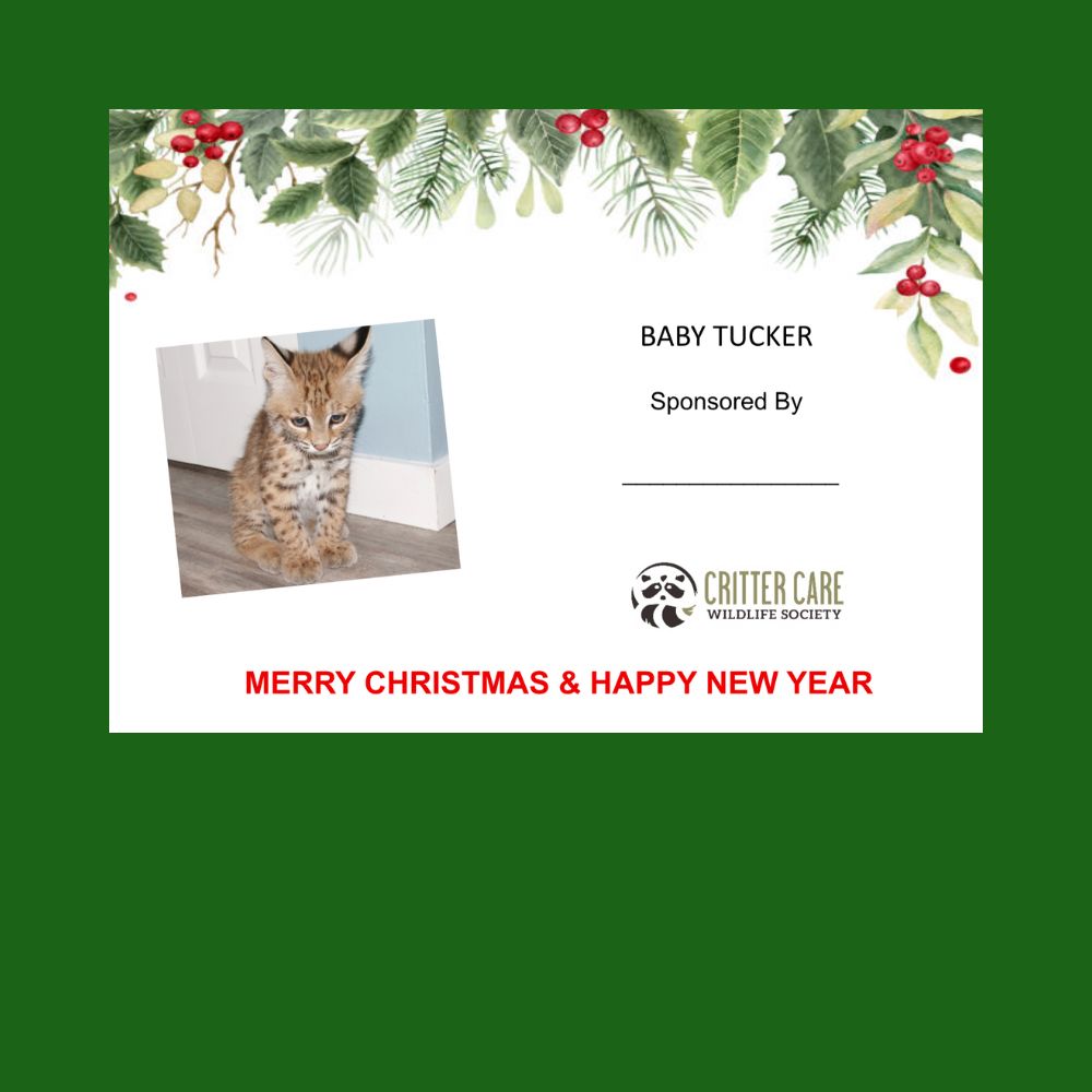 Baby Tucker Sponsorship