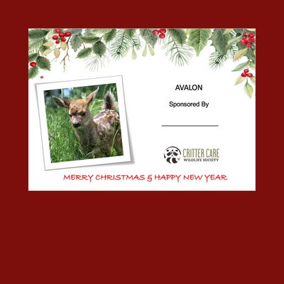 Avalon Sponsorship Avalon Sponsorship