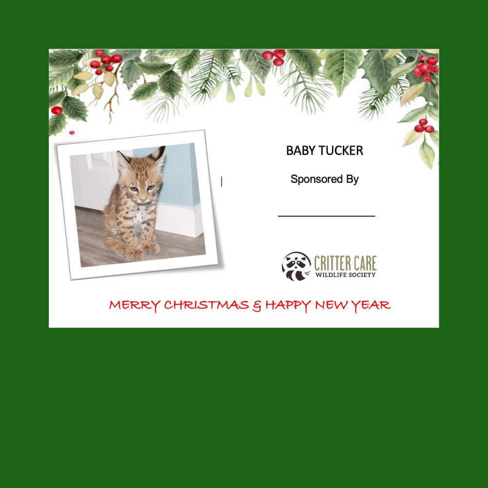 Baby Tucker Sponsorship