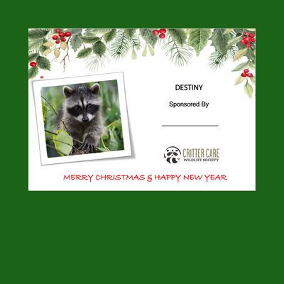 Destiny Sponsorship Destiny Sponsorship