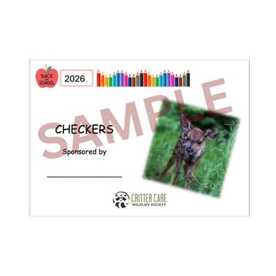 Back to School Special: Sponsor Checkers