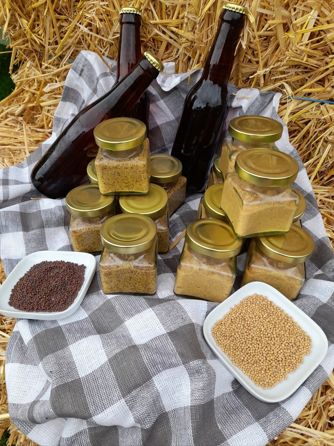 Biersenf