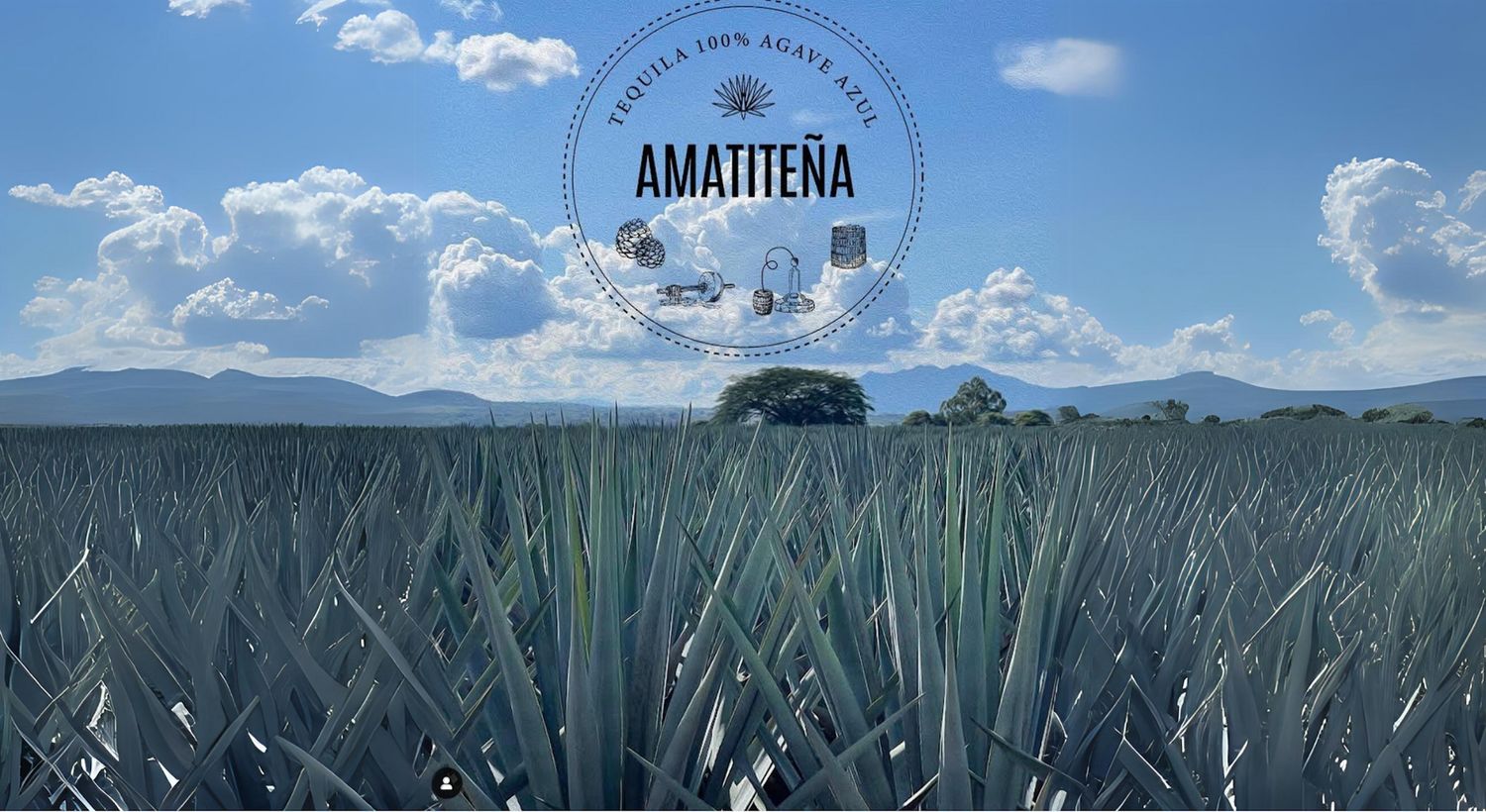 Amatiteña Tequila Tasting