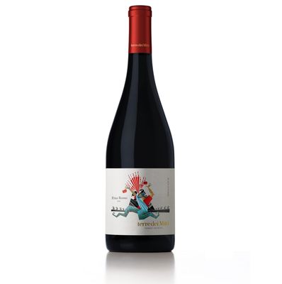 2019 Terre dei Miti Etna Rosso, Sicily, Italy