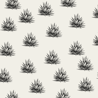 The Rise of Additive-Free Tequila: The New &quot;100% Blue Agave&quot;