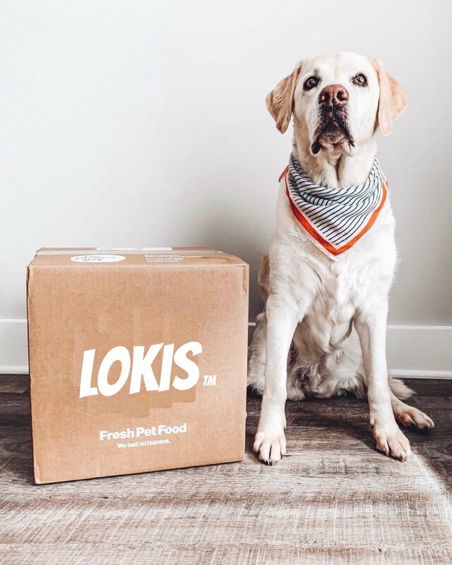 Starter Kit For Dogs