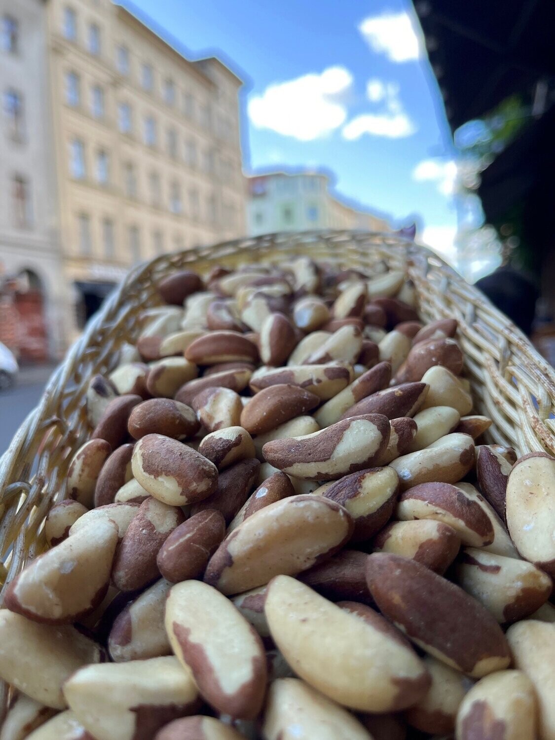 Macadamia