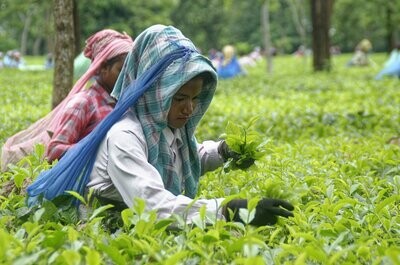 Darjeeling