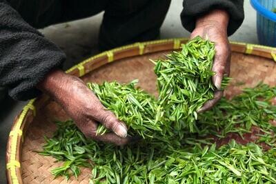 Assam