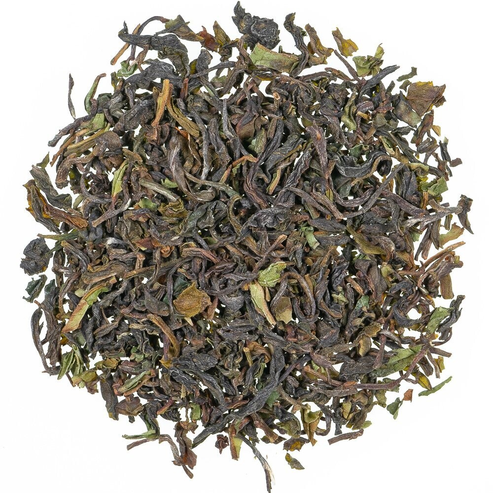 Steinthal Darjeeling ff