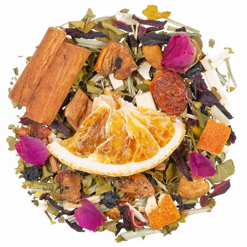 Winterwald mit Moringa Winterwald mit Moringa