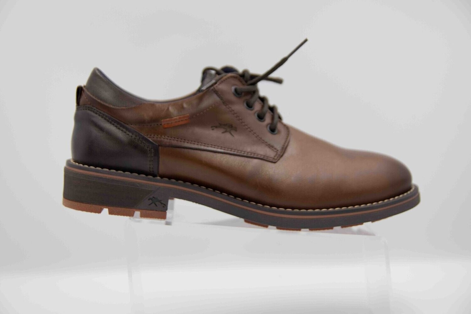 FLUCHOS : derbies camel_