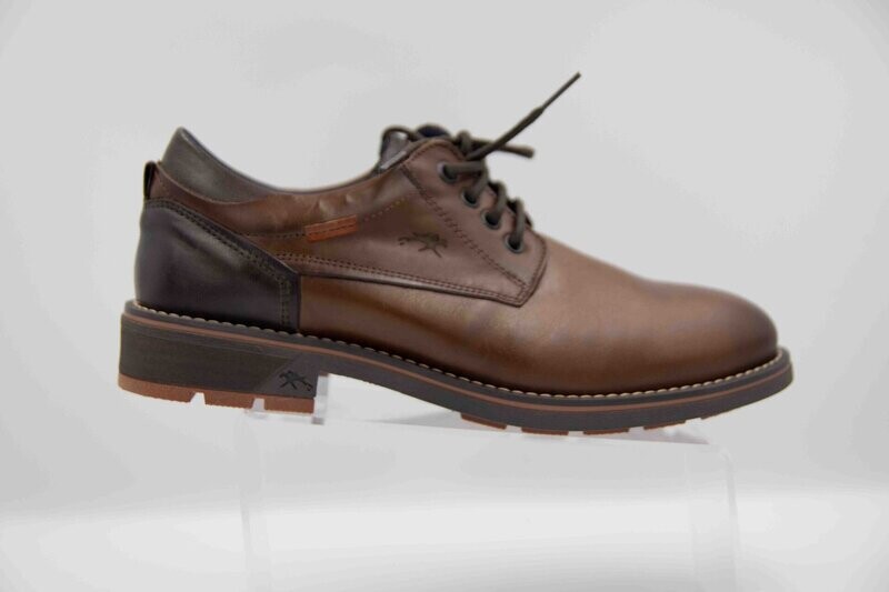 FLUCHOS : derbies camel_
