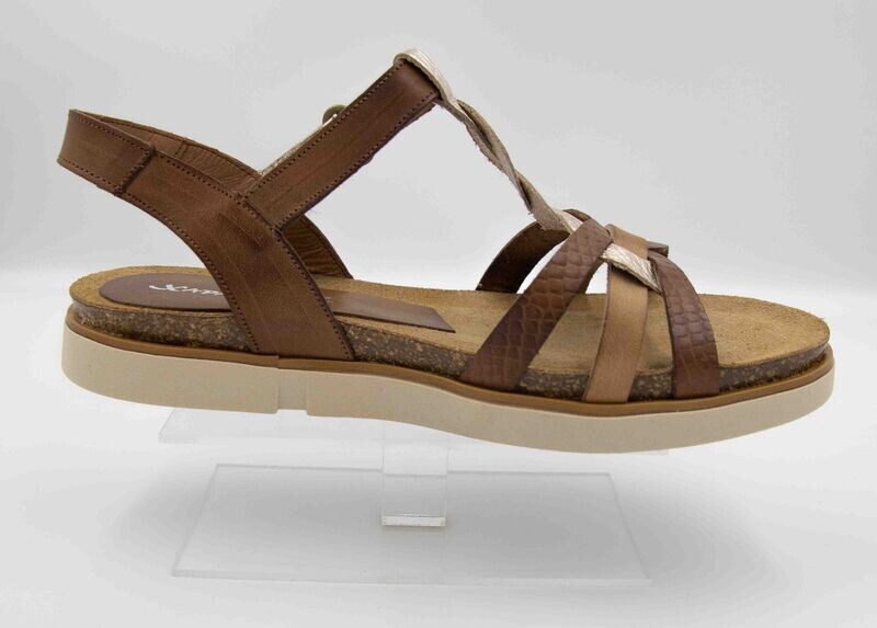 XAPATAN : nu-pieds champs sahara_