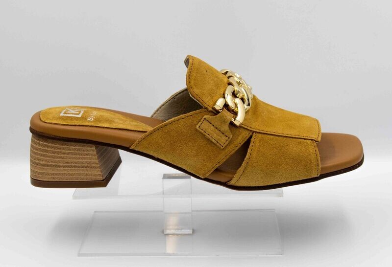 DORKING : mules camel_