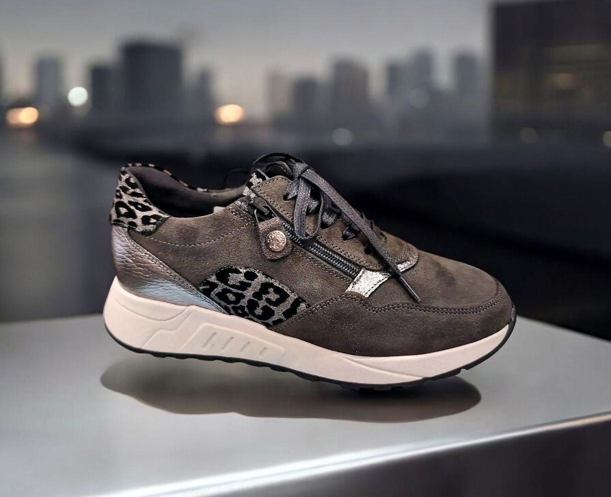 ARIMA: baskets leo gris