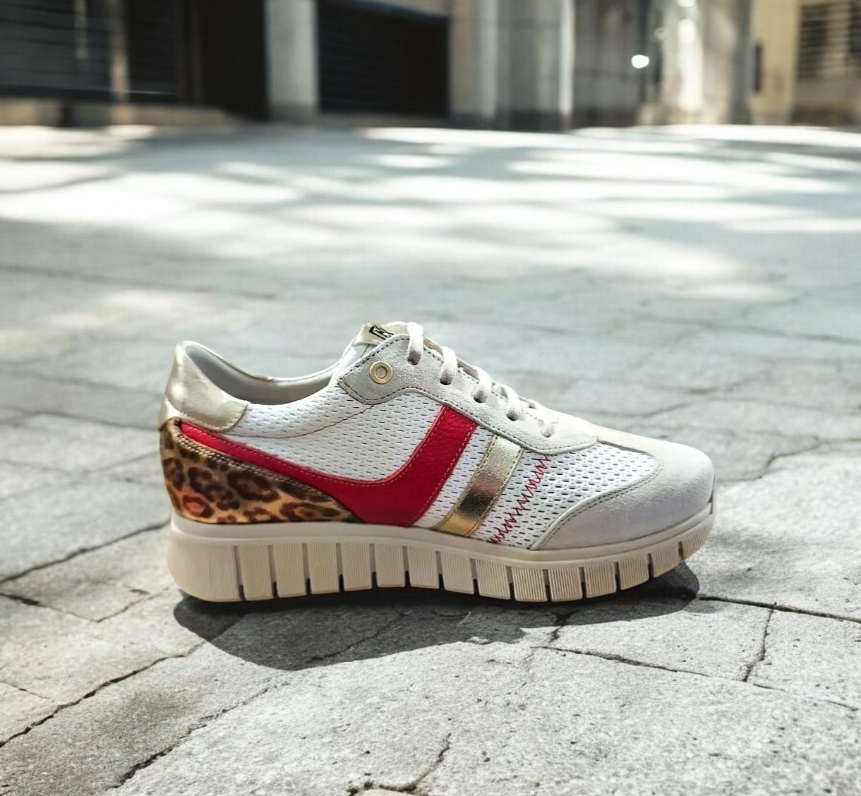 DORKING : baskets blanc rouge