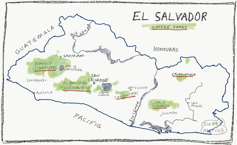 El Salvador Finca Miravalles Bourbon
