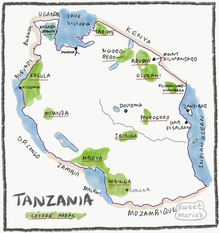 Tanzania Mbozi Mbewe Peaberry