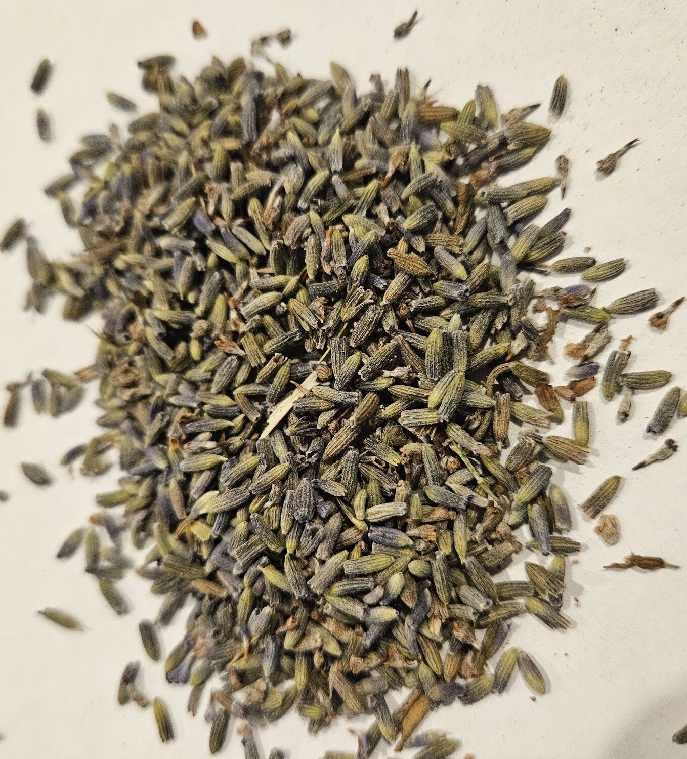 Lavender
