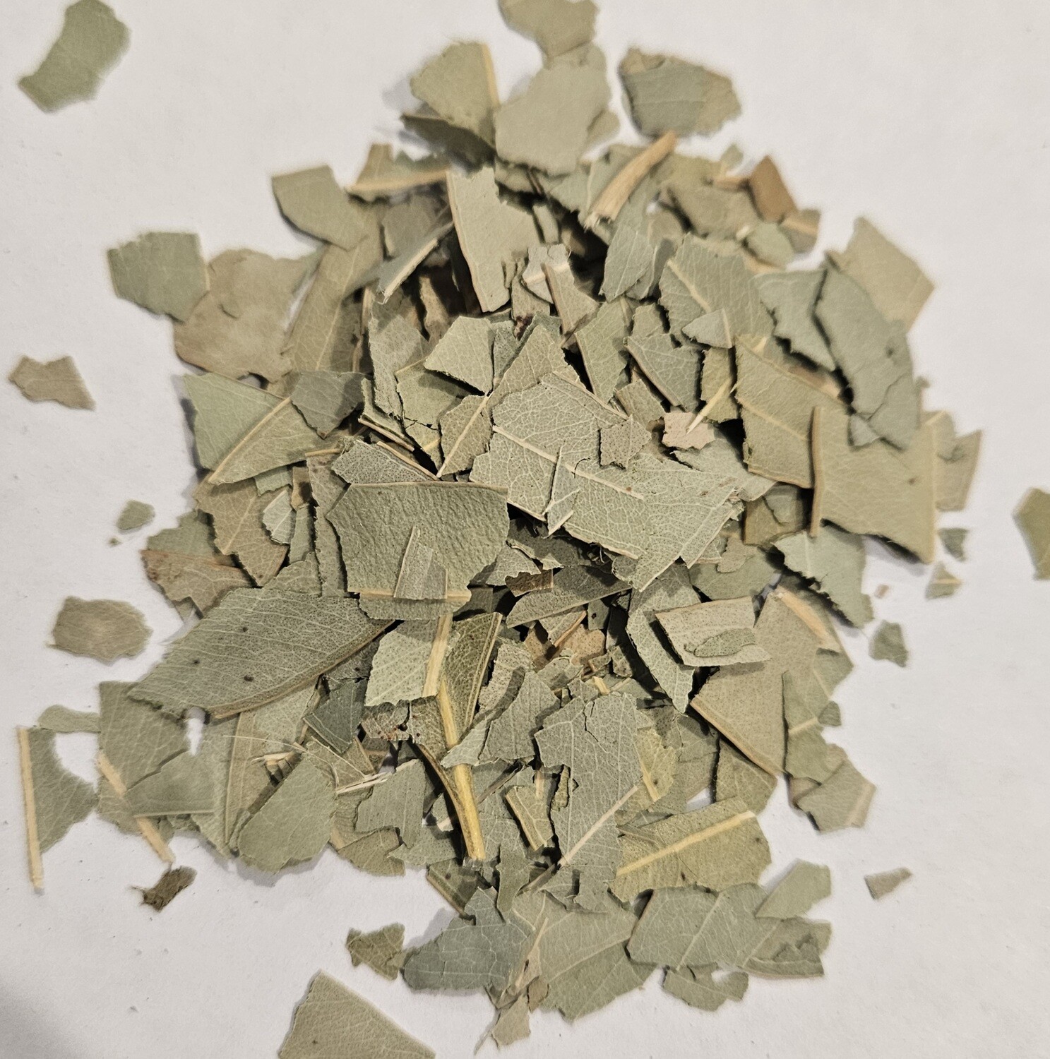 Eucalyptus