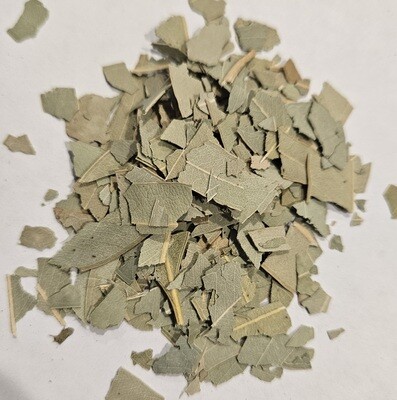 Eucalyptus
