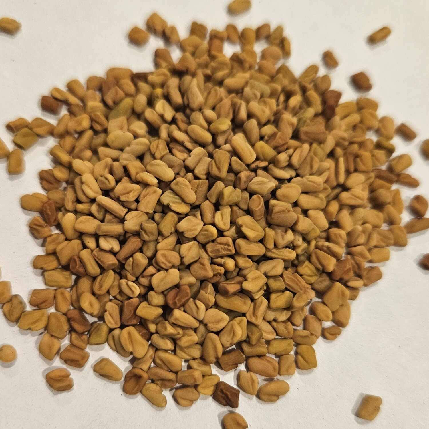Fenugreek