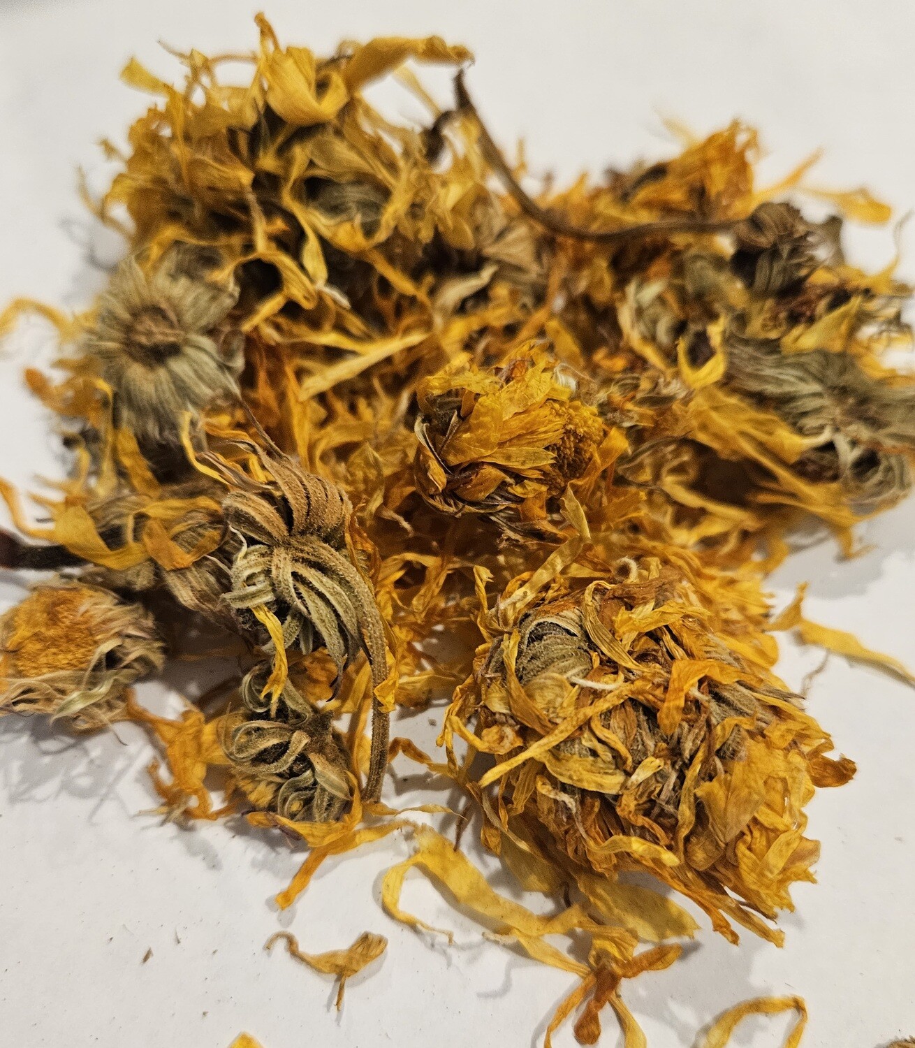 Calendula