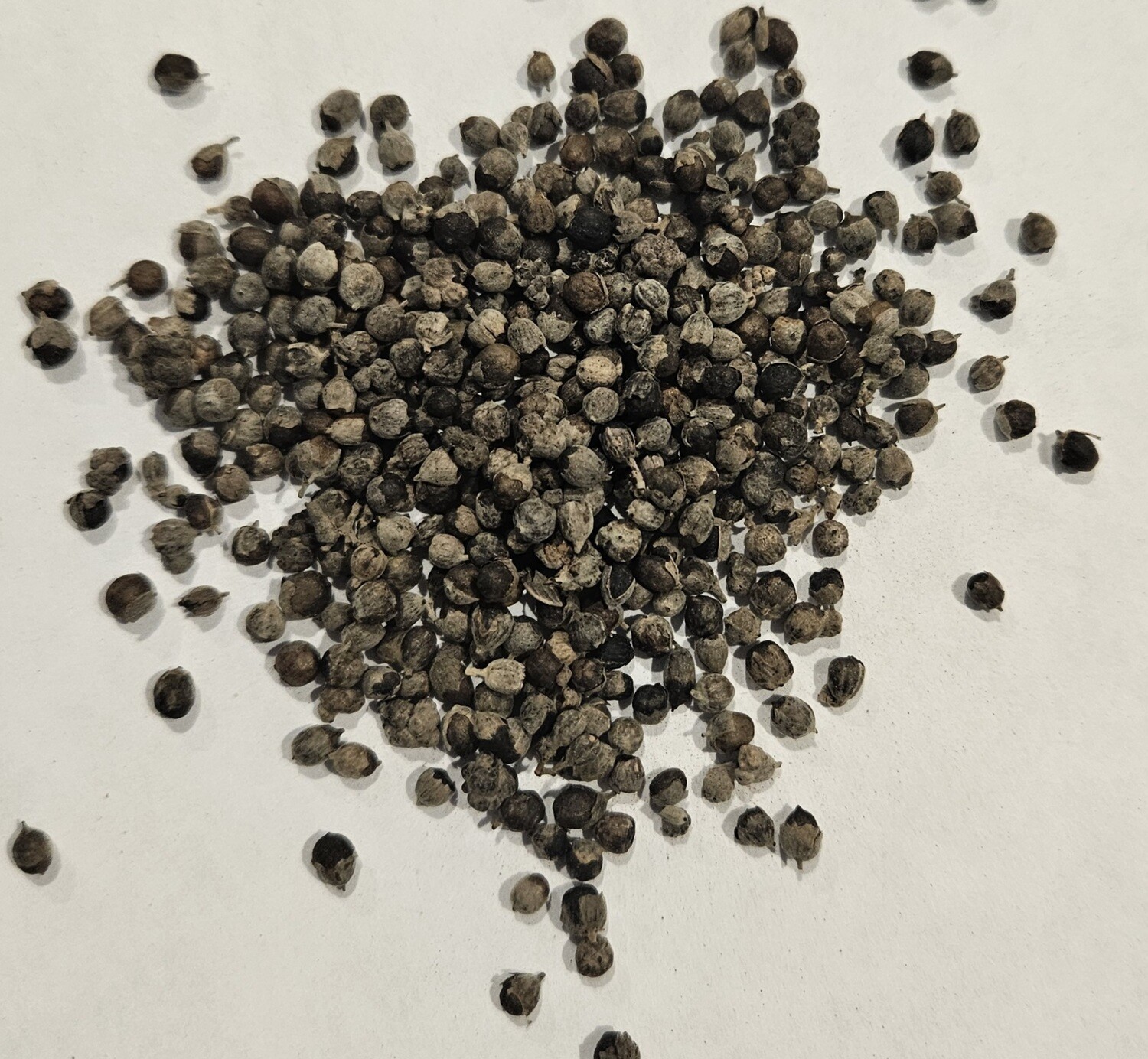Chaste Tree Berry
