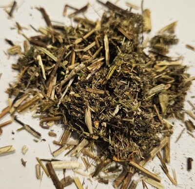 Mugwort