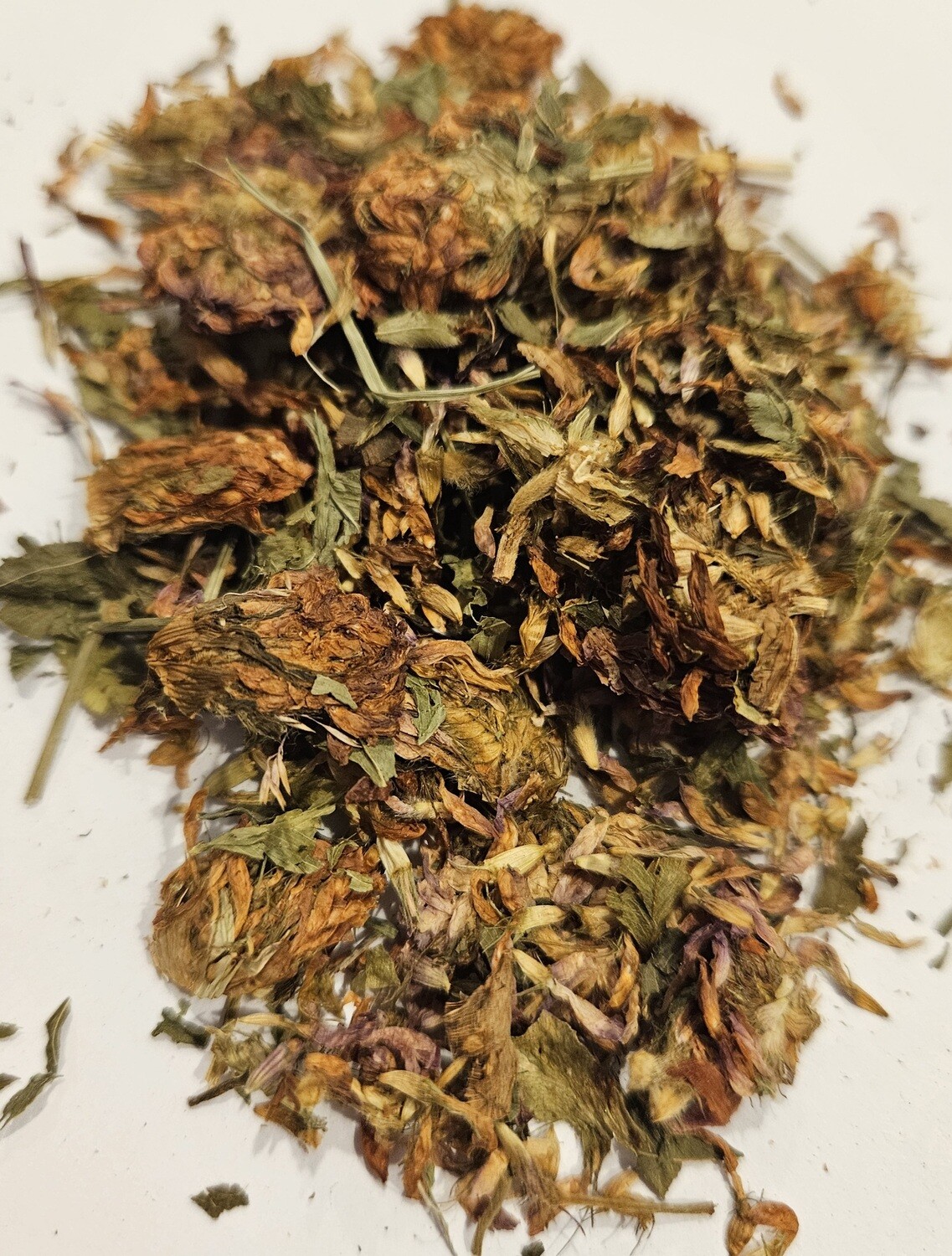 Red Clover