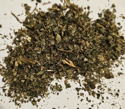 Witch Hazel