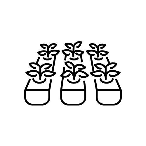 Flower Plugs 2026
