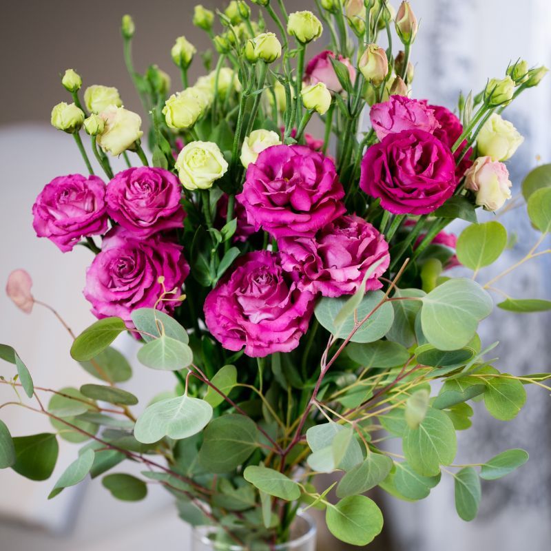 Lisianthus Voyage 2 Deep Rose 36