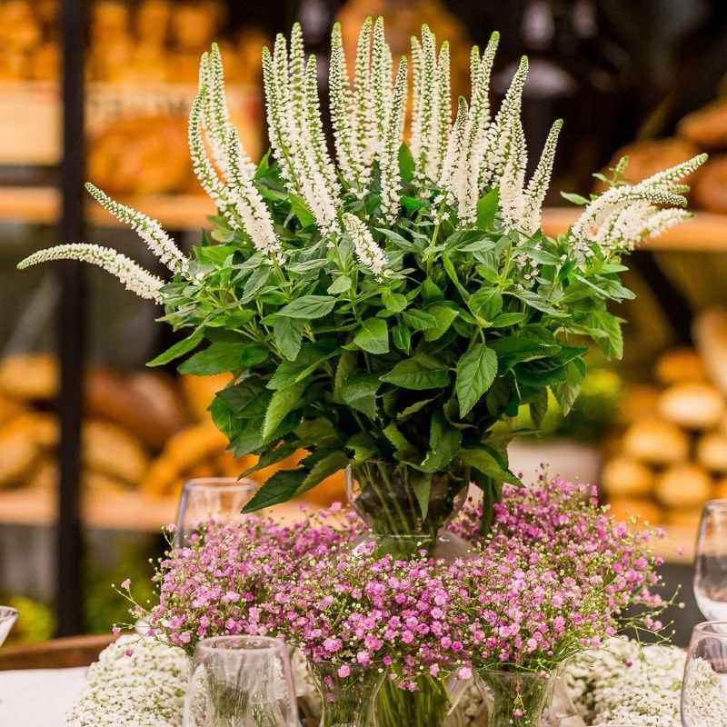 Veronica Skyler™ Splash White - 4