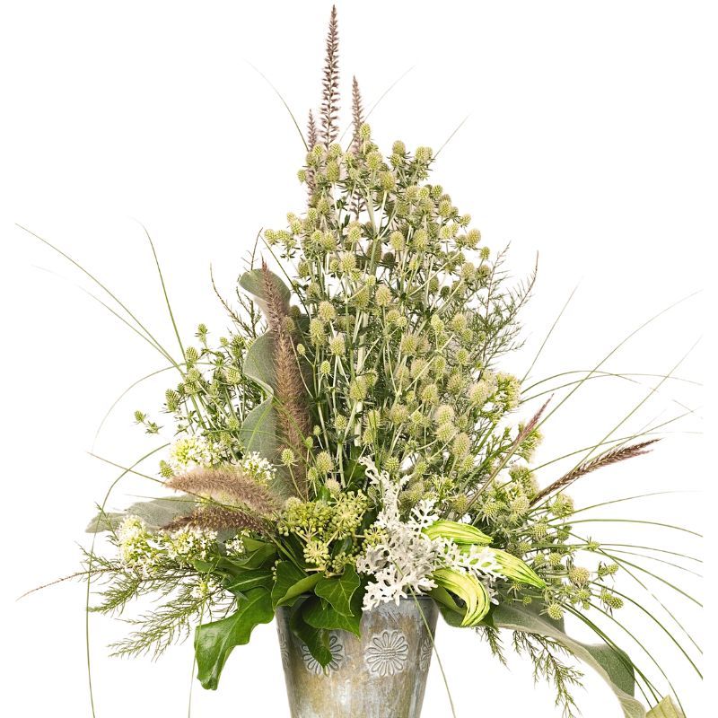 Eryngium planum 'White Glitter'