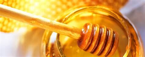 Honey- Brisbane Local 500g Squeeze