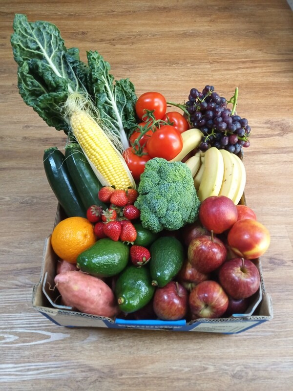 School Fundraising Box
