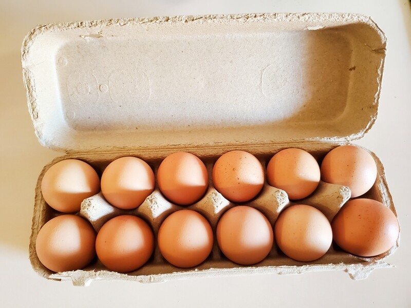 Dozen Free Range Jumbo Eggs- 800g