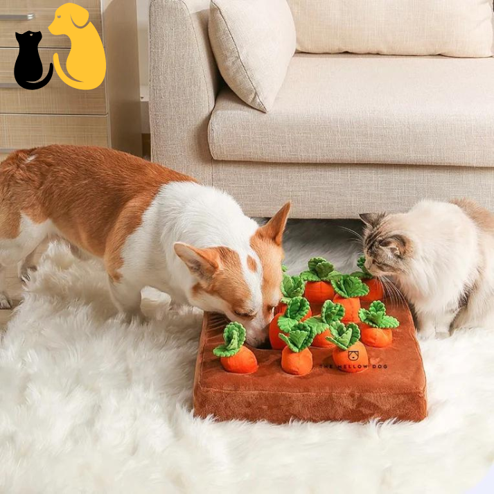 50%OFF|CARROT FARM