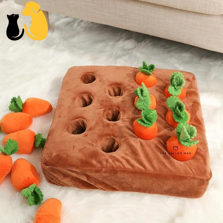 50%OFF|CARROT FARM