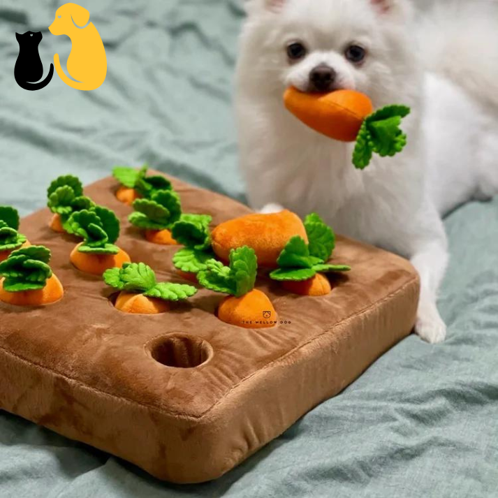 50%OFF|CARROT FARM