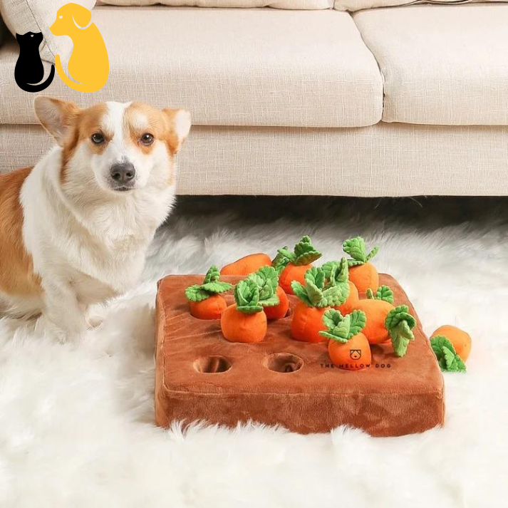50%OFF|CARROT FARM