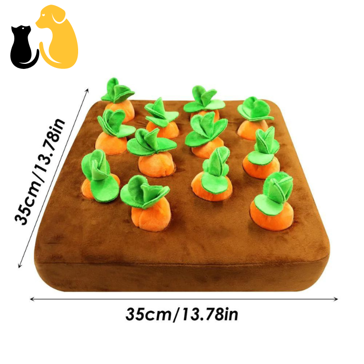 50%OFF|CARROT FARM